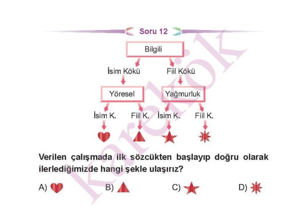 5.sinifturkceceptest5