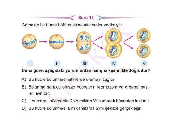 7siniffenbilimlericeptest1