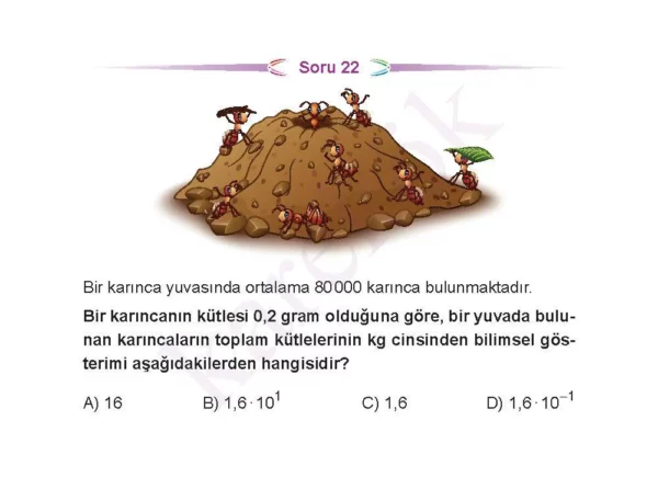 8_sinif_ceptest_kolay1