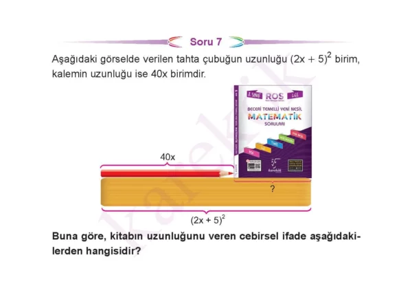 8_sinif_ceptest_kolay4