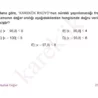 9_sinif_matematik_ceptest_kolay3